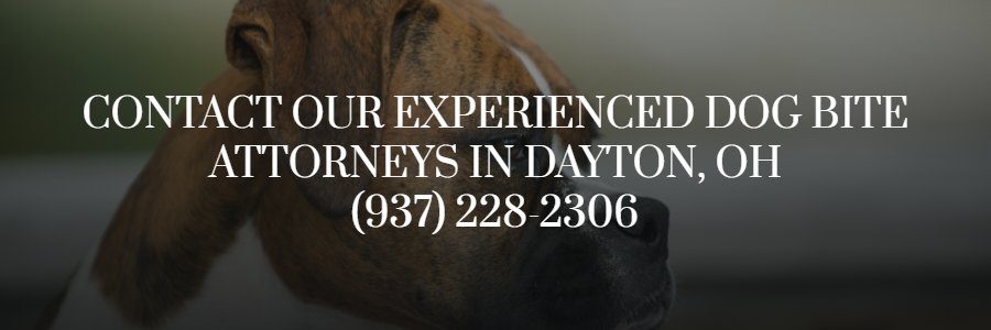 Dog bite lawyer in Dayton, OH